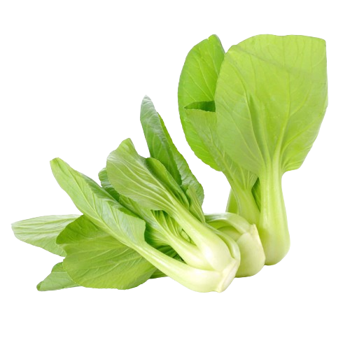 Pak Choi Blanco